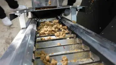 Düzce'de Organik Mama Üretim Tesisi Kuruldu