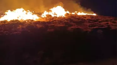 Hizan'da Anız Yangını Kontrol Altına Alındı