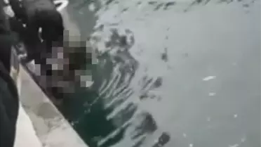 İstanbul'da can pazarı! 4 engelli vatandaş denize düştü, biri hayatını kaybetti