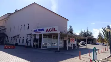 Afşin'de Arı Sokması Nedeniyle 9 Yaşındaki Kız Hayatını Kaybetti