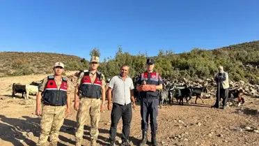 Yaralı Kerkenez Kuşu Koruma Altına Alındı