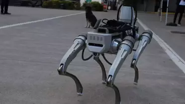 Türkiye'nin Askeri Robotu: PROTEO
