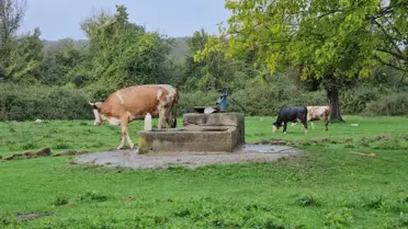 Çaycuma'da Su Kuyusunda Kadın Cesedi Bulundu