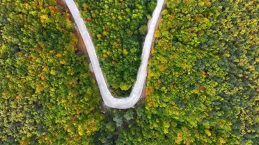 Sonbahar Renkleri Sakarat Yaylası'nda
