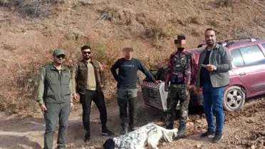 Ağrı'da İzinsiz Avcılığa Ceza