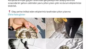 Konya'da Piton Yılanı Ele Geçirildi