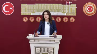 DEM Parti Irak, Suriye ve Lübnan tezkelerine 'Hayır' oyu verecek