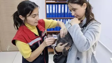 Edirne'de Balık Satış Denetimleri