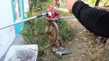 Yılan, evde korkuya neden oldu