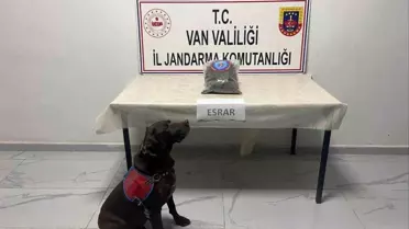 Yüksekova'da 999 Gram Esrar Ele Geçirildi