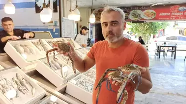 İskenderun'da Jumbo Karides Fiyatları Düşüyor