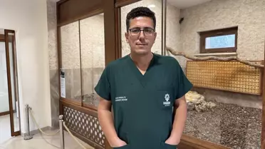 Polis, Yavru Pitonu Hayvanat Bahçesi'ne Teslim Etti