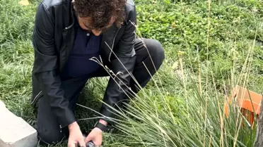 Yaralı Güvercin Kurtarıldı