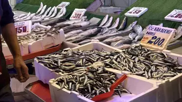 Hamsi Tezgahlarda Palamutun Yerini Aldı