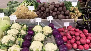 Son Sebzeci Ata Tohumlarıyla Hasat Yaptı