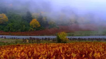 Sakarya'da Sonbahar Doğa Yürüyüşü Heyecanı
