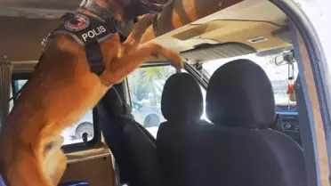 Van'da Uyuşturucu Operasyonu