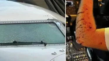 Yolcu uçağına meteor çarptı, pilot kanlar içinde kaldı