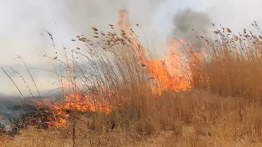 Yüksekova'da Nehil Sazlığı Yangını