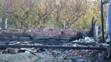 5 kardeş can vermişti! Türkiye'nin konuştuğu olayda anneye ceza verilmedi