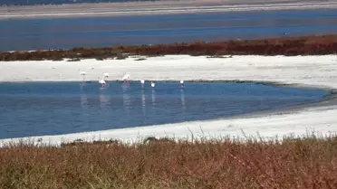 Burdur Gölü'nde Büyük Küçülme