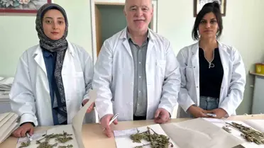 VANF Herbaryumu, 90 Bin Bitki Örneği Barındırıyor