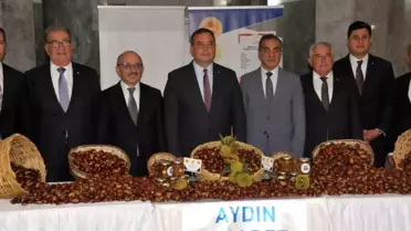 Aydın Kestanesi Sezonu Başladı
