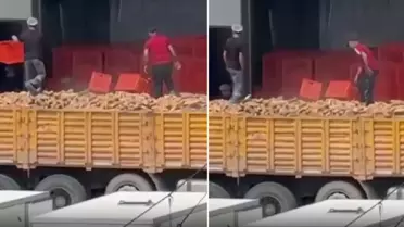 Belediyeye ait fırında infial yaratan görüntü