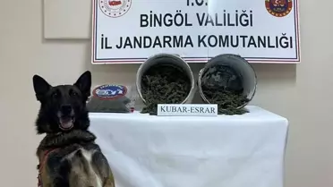 Bingöl'de Uyuşturucu Operasyonu: 2 Kilo Esrar Ele Geçirildi