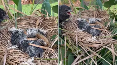 Bir annenin çaresizliği: Kayda alan kişi müdahale etmedi, videoyu izleyenler kahroldu