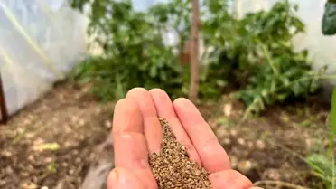 Ata Tohumu ile Farkındalık Hareketi