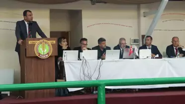 Elit Taylar Rekor Fiyata Satıldı