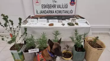 Eskişehir'de Uyuşturucu Operasyonu: 7 Gözaltı