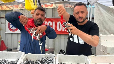 Zonguldak'ta Hamsi Fiyatı 70 TL'ye Düştü