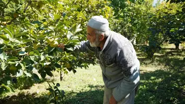 İbrahim Amca'nın Hayır Bahçesi