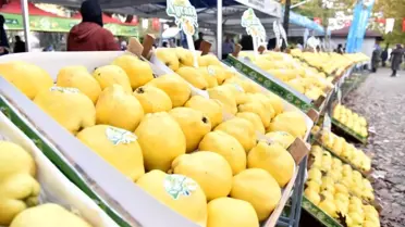 Kartepe'de Eşme Ayva Festivali 26 Ekim'de Düzenlenecek