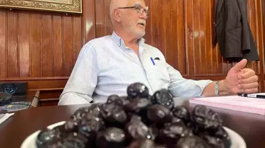 Gemlik'ten İsviçre'ye Zeytin İhracatı