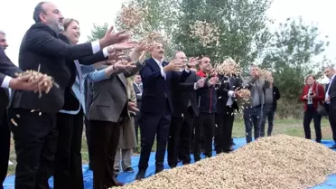 Meriç Alibeyköy Fıstık Şenliği Coşkuyla Gerçekleşti