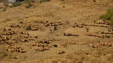 Göçer Aileler Serin Yaylalardan Sıcak İllere Dönüyor