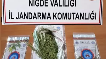 Niğde'de Güvenlik Operasyonları