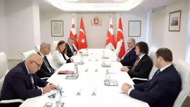 Türkiye-Gürcistan Sağlık İş Birliği