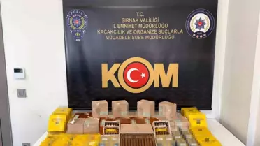 Şırnak’ta Narkotik ve Kaçakçılık Operasyonları