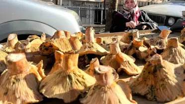 Tavşanlı'da Mantar Pazarı Canlandı