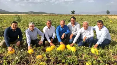 Acıpayam Kavunu'na Coğrafi İşaret