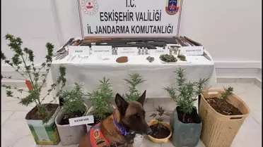 Eskişehir'de Uyuşturucu ve Silah Operasyonu