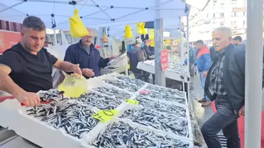 Zonguldak'ta Hamsi Fiyatları 70 Liraya Düşünce Tezgahlar Doldu