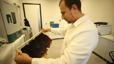 Nanoteknoloji ile Arıların Korunması