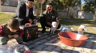İmam Hatip'ten Kedilere Şefkat