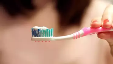 Diş Fırçası: Mikrop Yuvası!