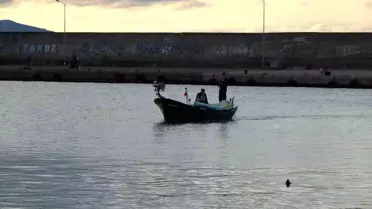 Doğu Karadeniz'de Palamut Krizi